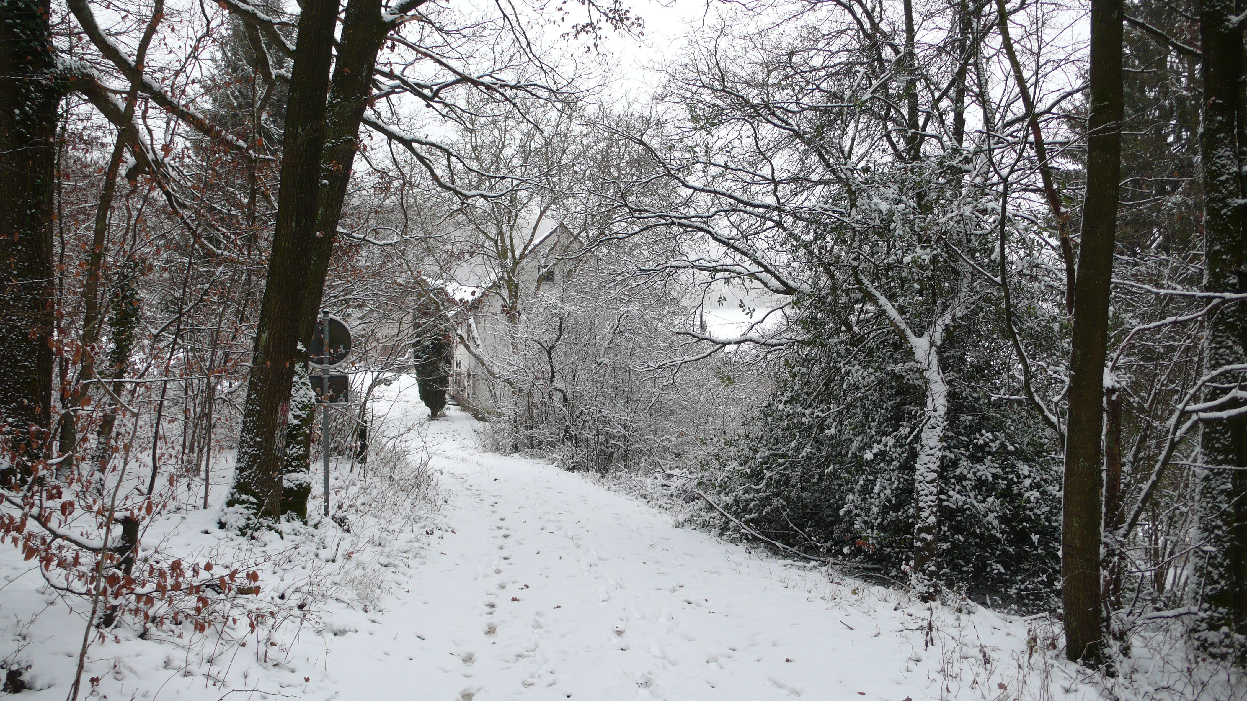 Aankomst door het winterbos