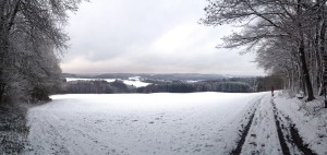 Wintertafereel
