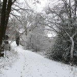 Aankomst door het winterbos