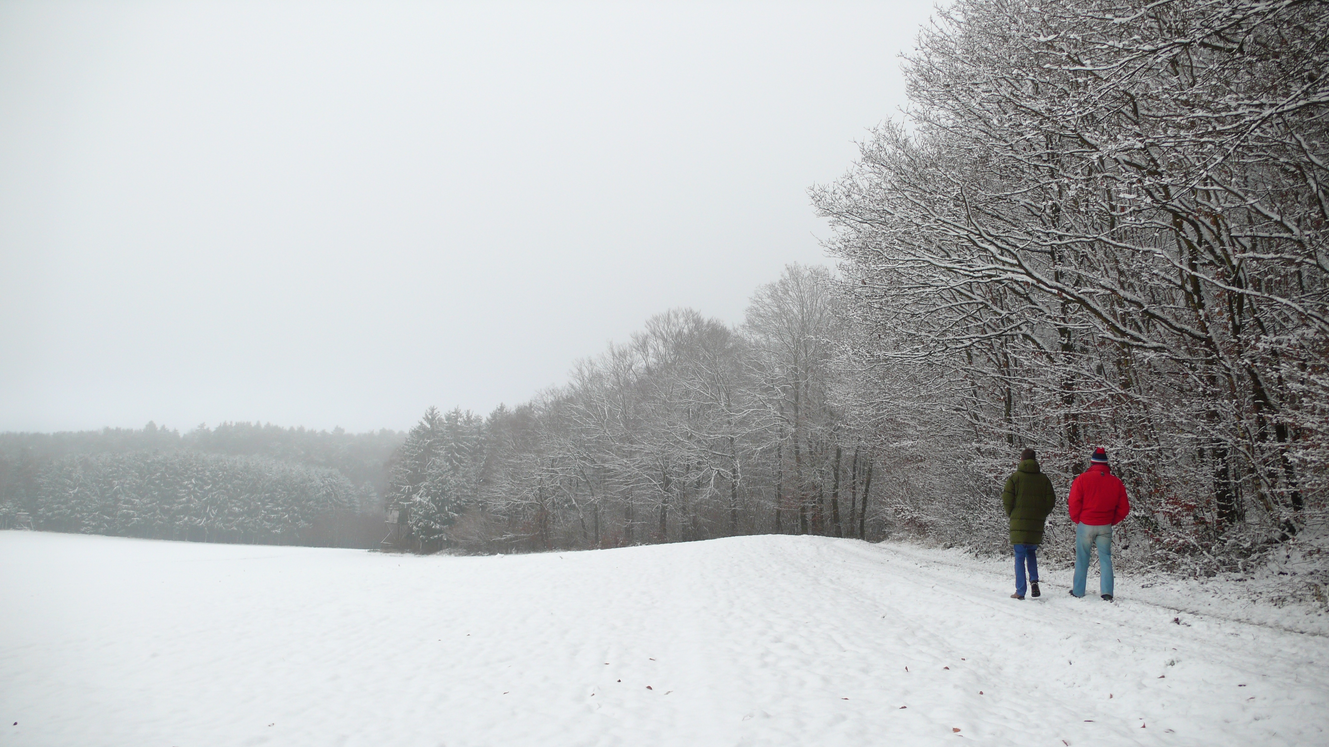In de sneeuw langs de akkers