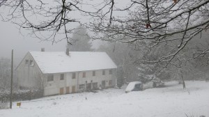 In de sneeuw